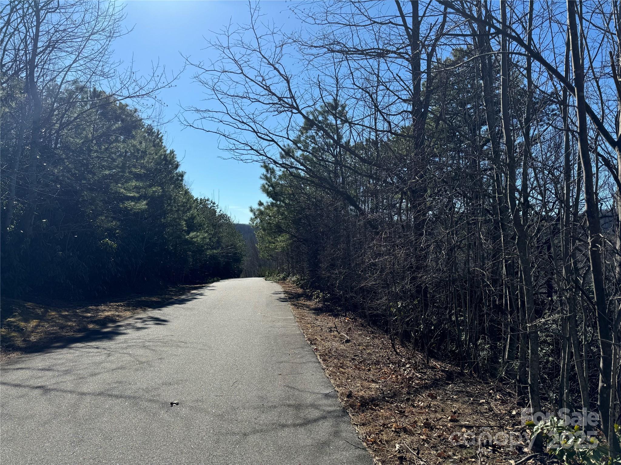 239 Fuji Falls Trail Black Mountain NC 28711