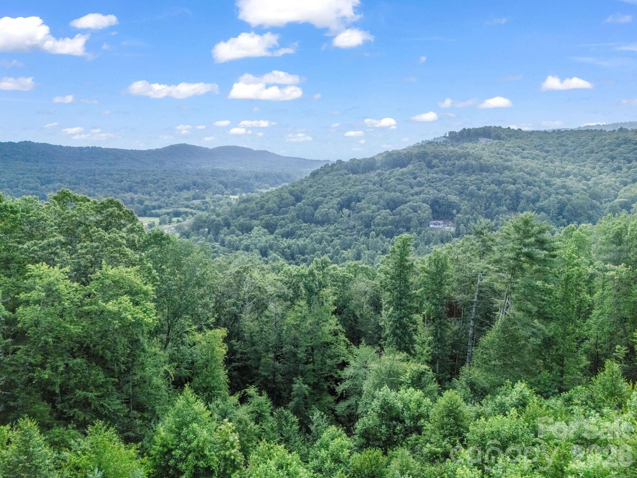 Tbd Davenport Hills Road Hendersonville NC 28739