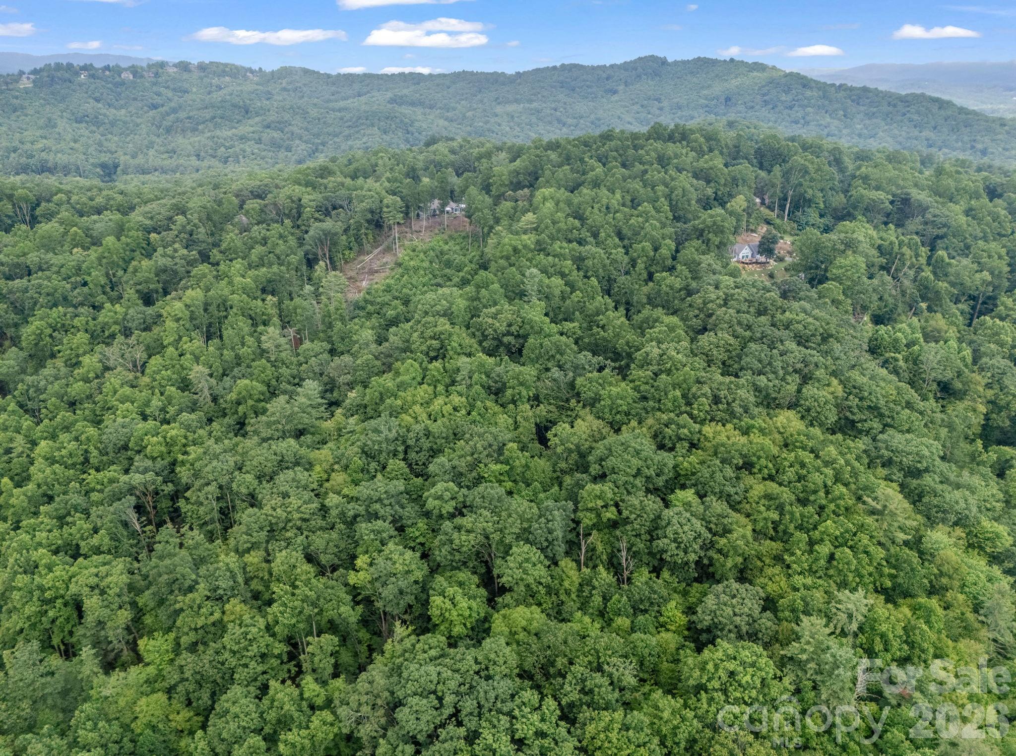 Tbd Davenport Hills Road Hendersonville NC 28739