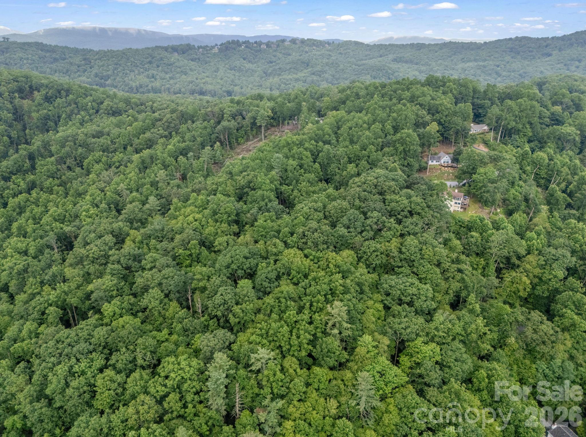 Tbd Davenport Hills Road Hendersonville NC 28739