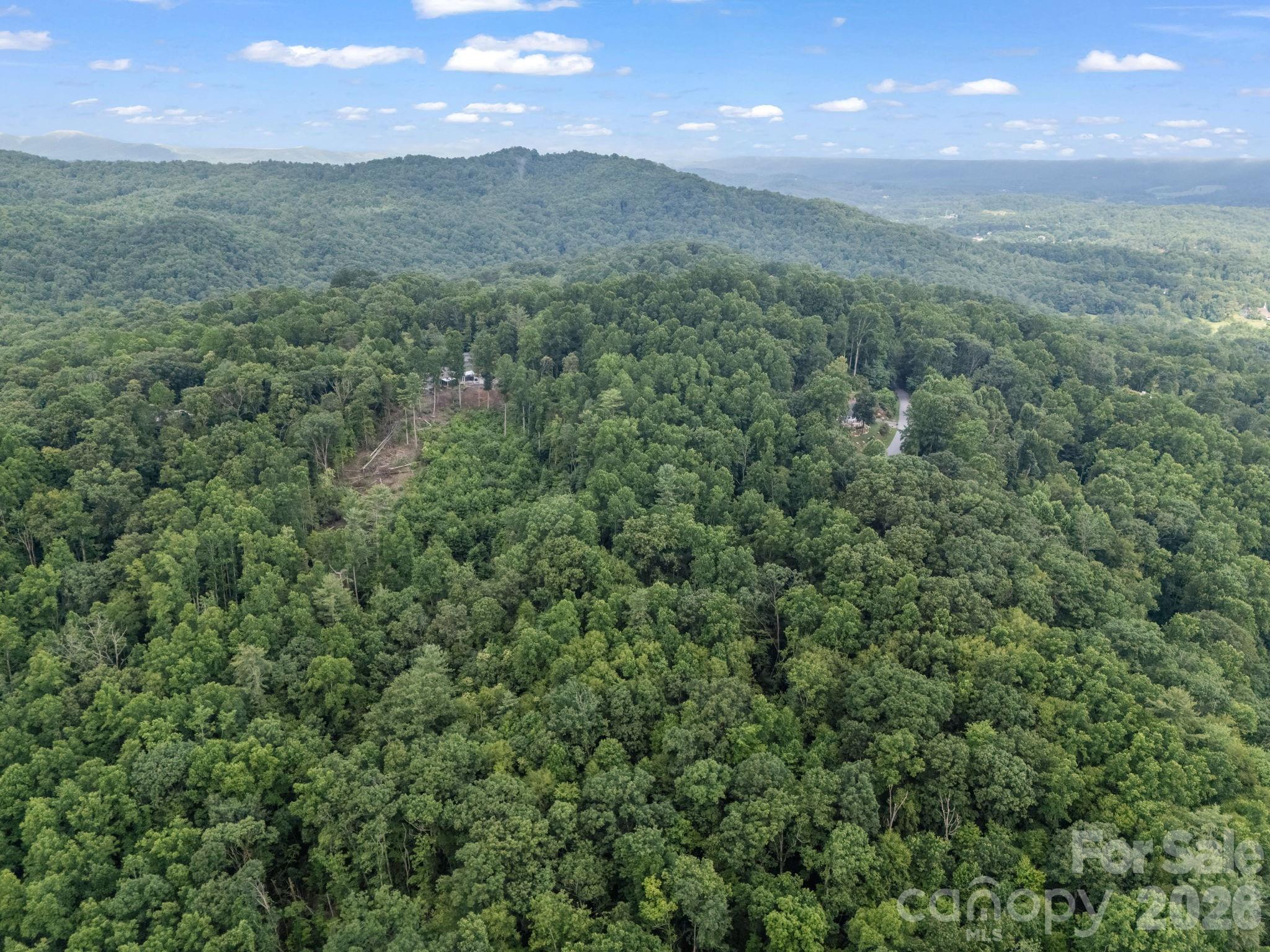 Tbd Davenport Hills Road Hendersonville NC 28739