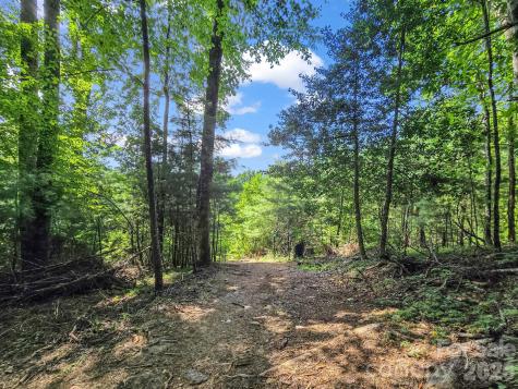 Tbd Davenport Hills Road Hendersonville NC 28739