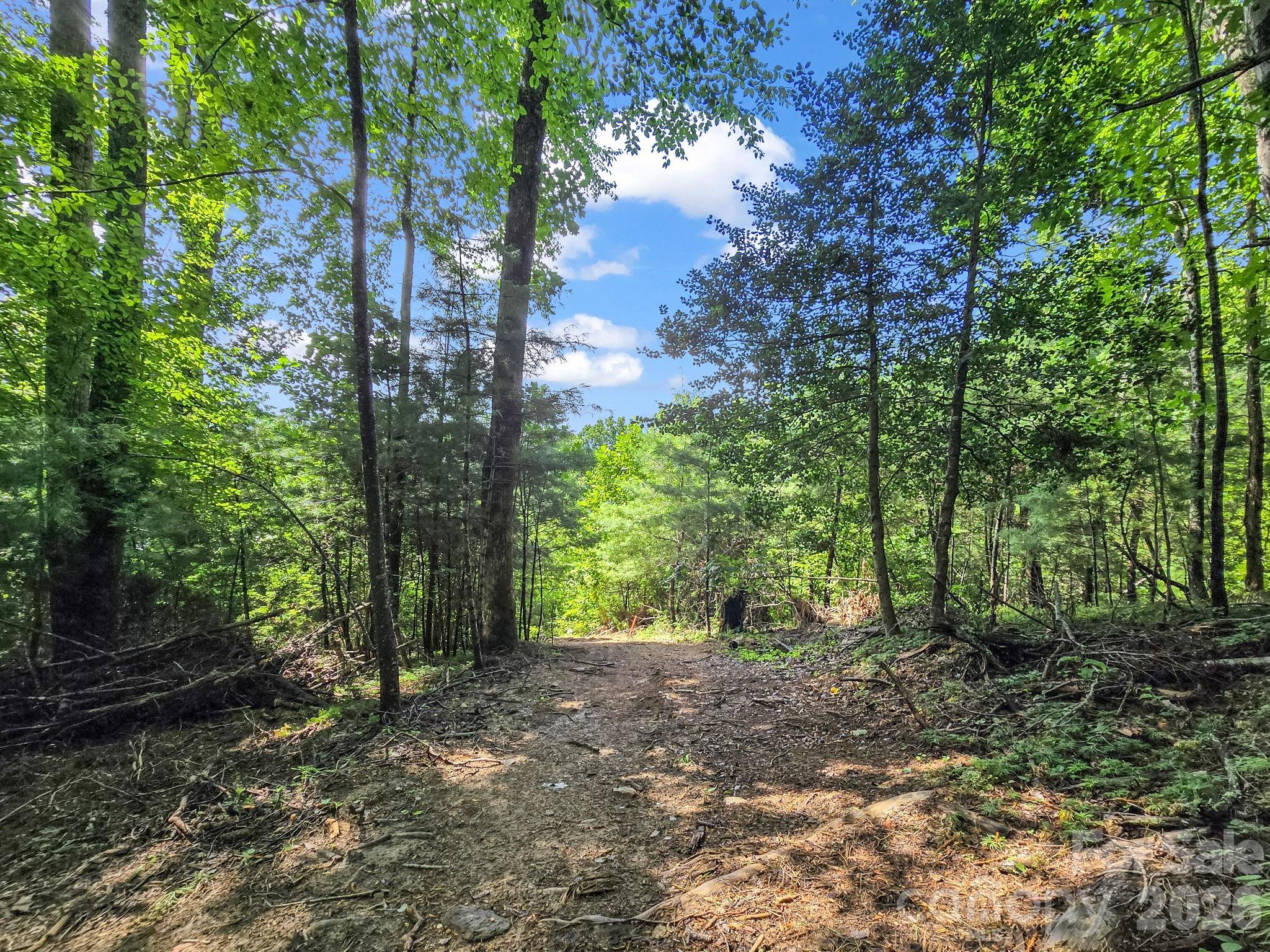 Tbd Davenport Hills Road Hendersonville NC 28739