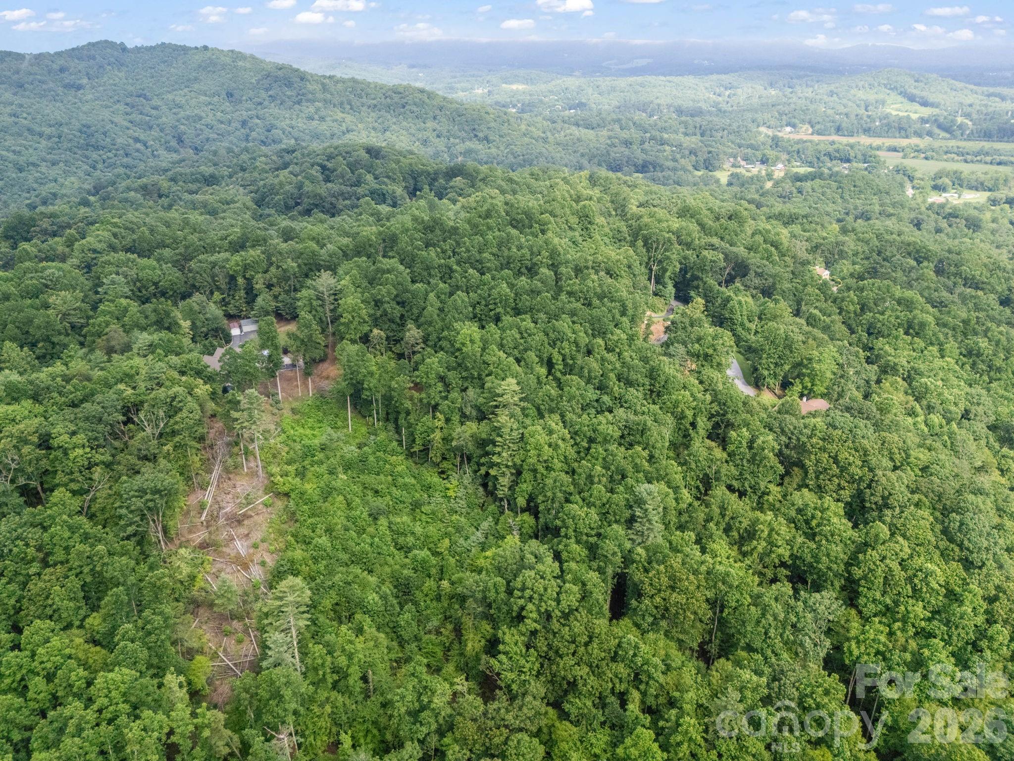 Tbd Davenport Hills Road Hendersonville NC 28739