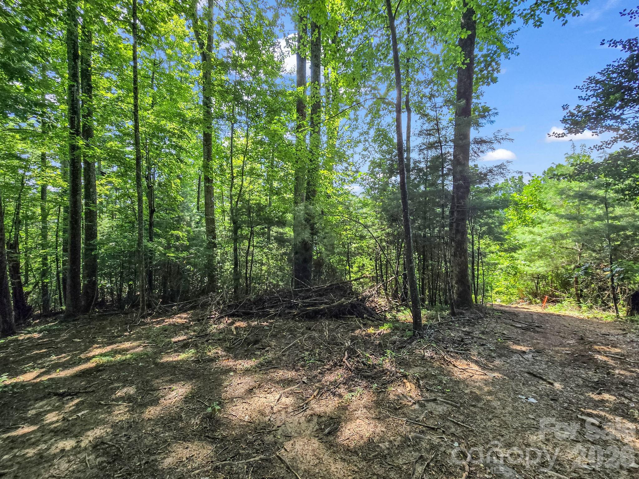 Tbd Davenport Hills Road Hendersonville NC 28739
