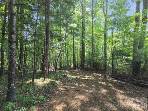 Tbd Davenport Hills Road Hendersonville NC 28739