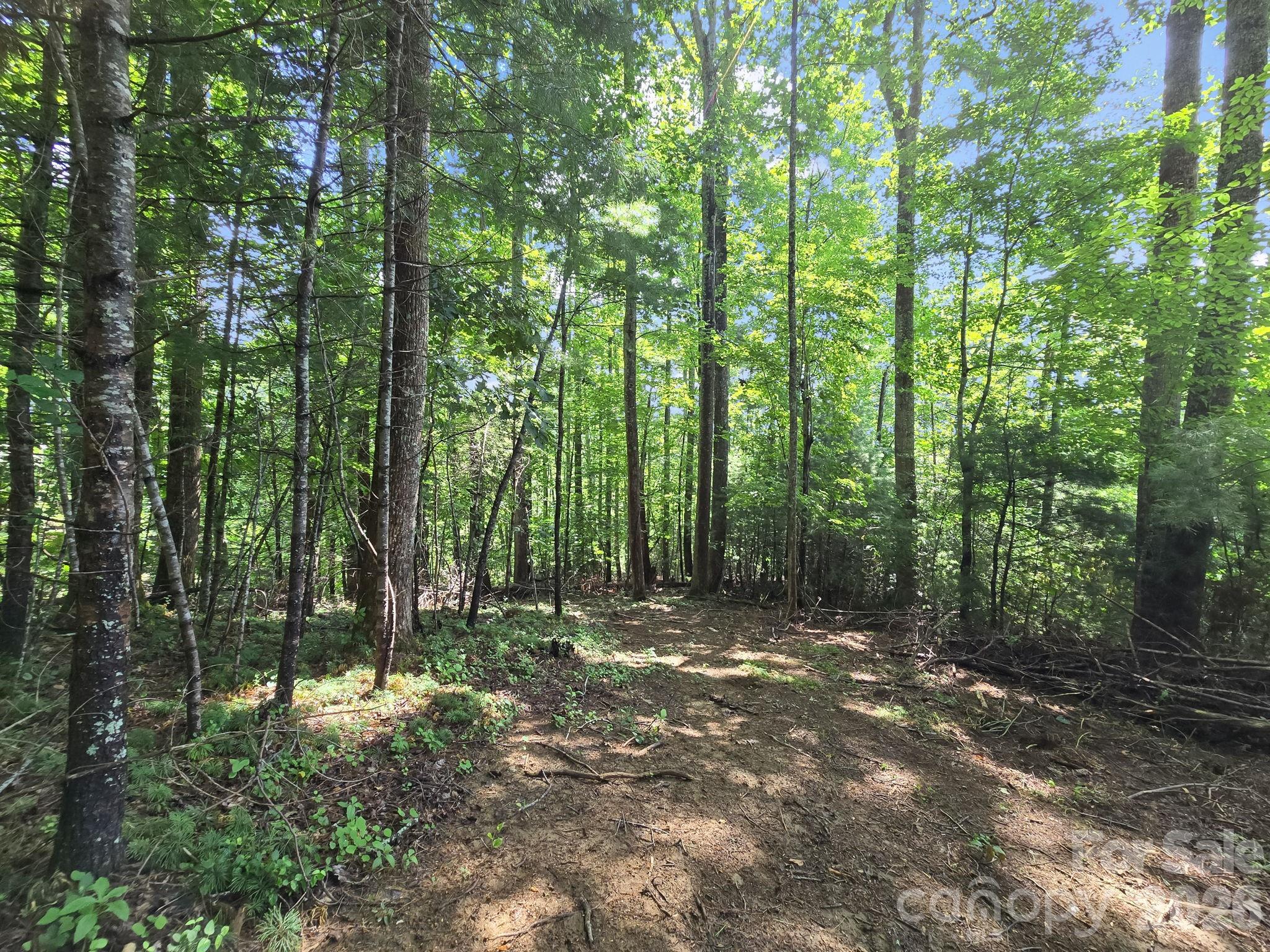 Tbd Davenport Hills Road Hendersonville NC 28739