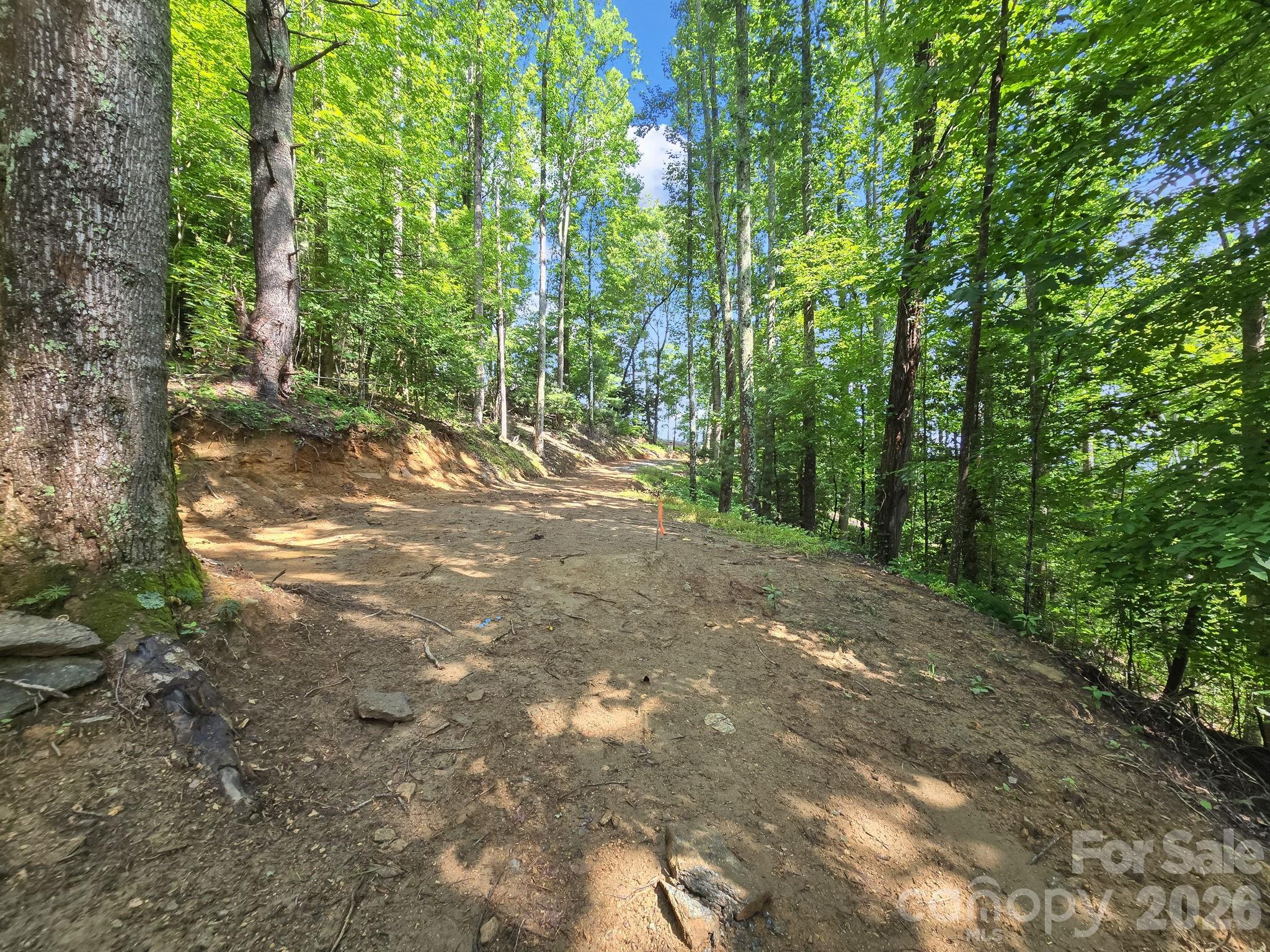 Tbd Davenport Hills Road Hendersonville NC 28739