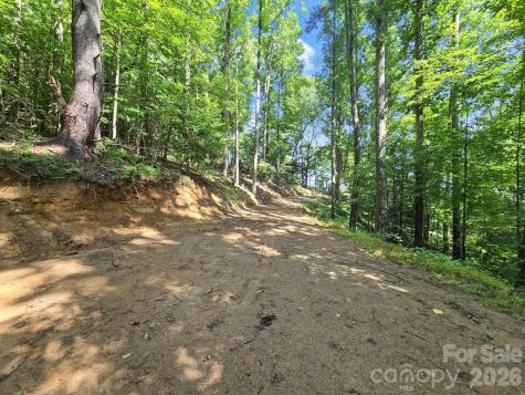 Tbd Davenport Hills Road Hendersonville NC 28739