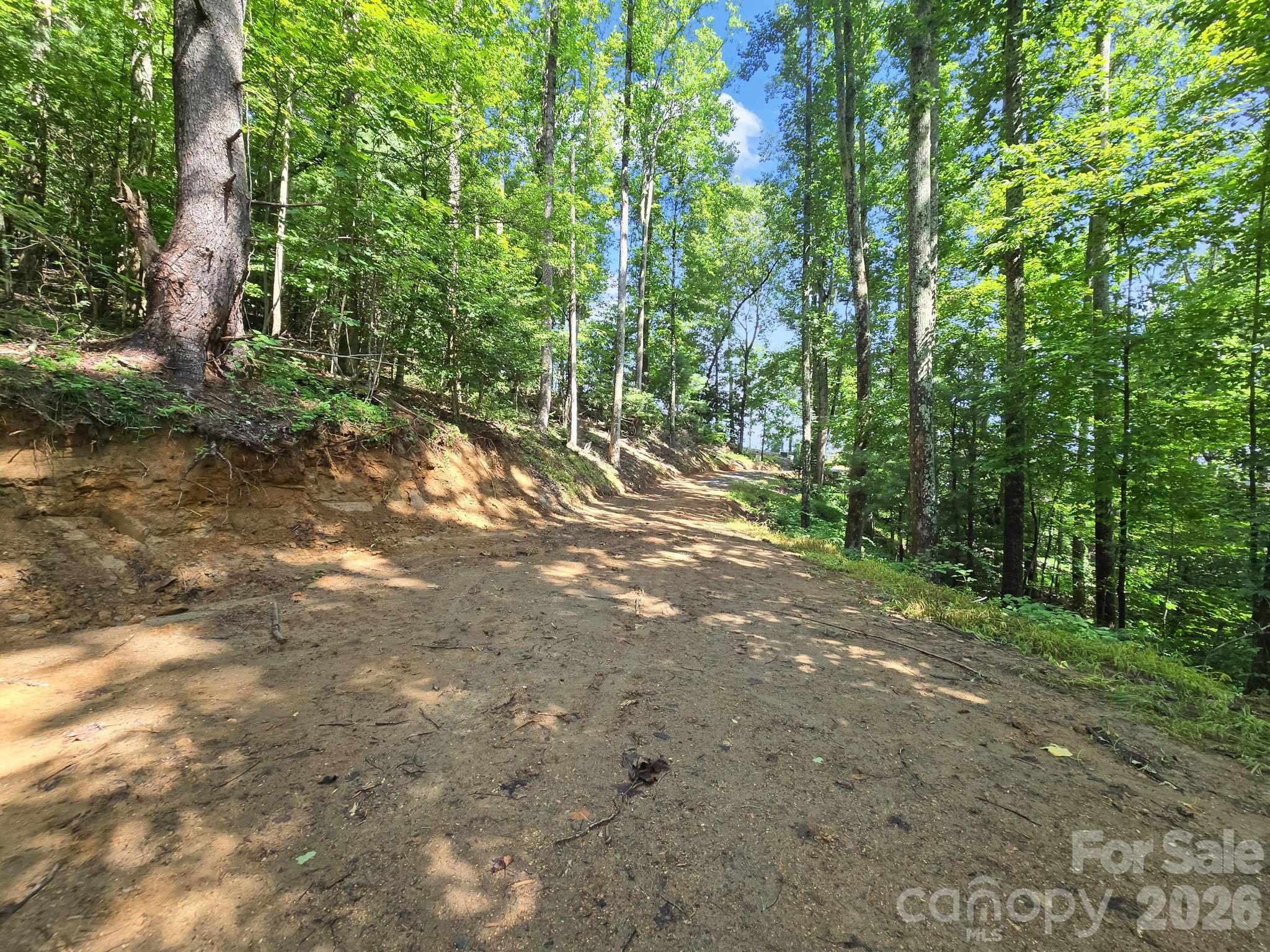 Tbd Davenport Hills Road Hendersonville NC 28739