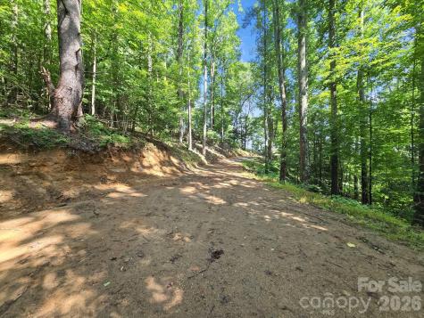 Tbd Davenport Hills Road Hendersonville NC 28739