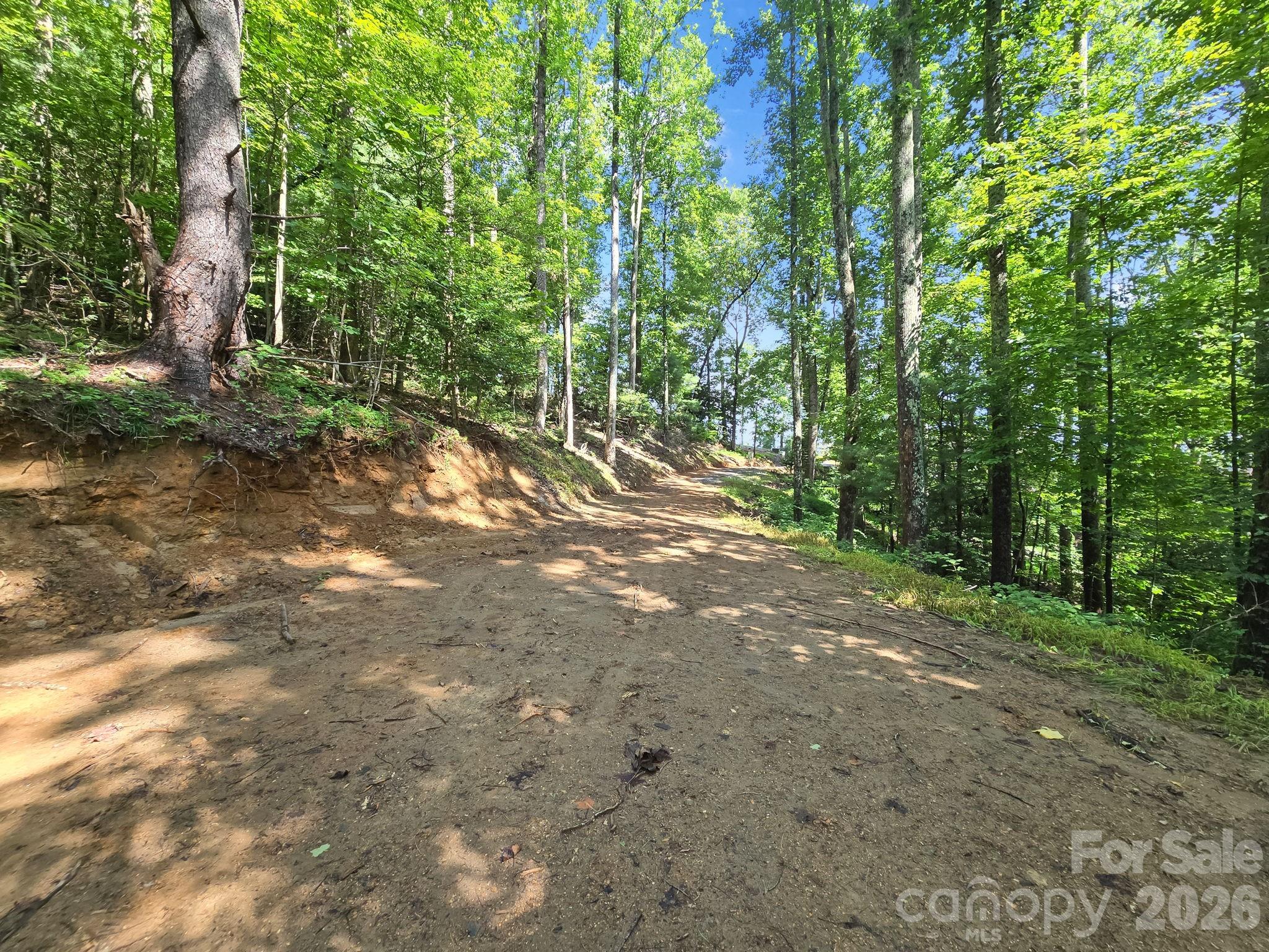 Tbd Davenport Hills Road Hendersonville NC 28739