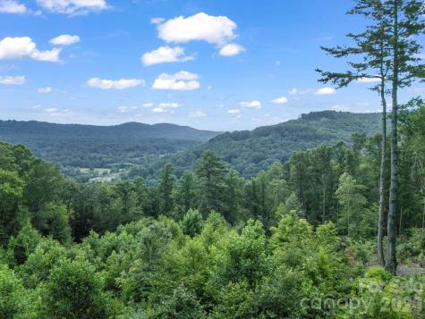 Tbd Davenport Hills Road Hendersonville NC 28739