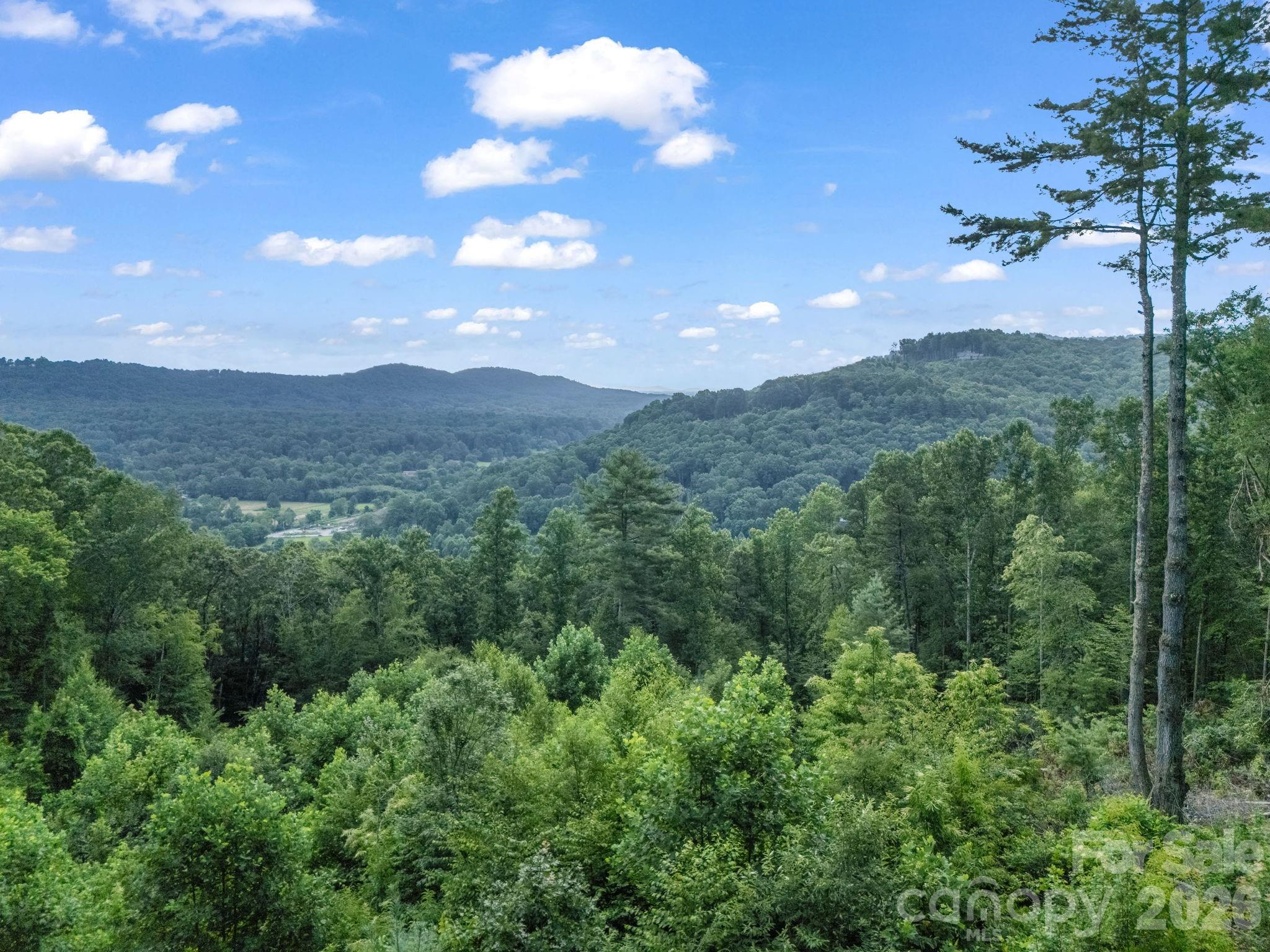 Tbd Davenport Hills Road Hendersonville NC 28739