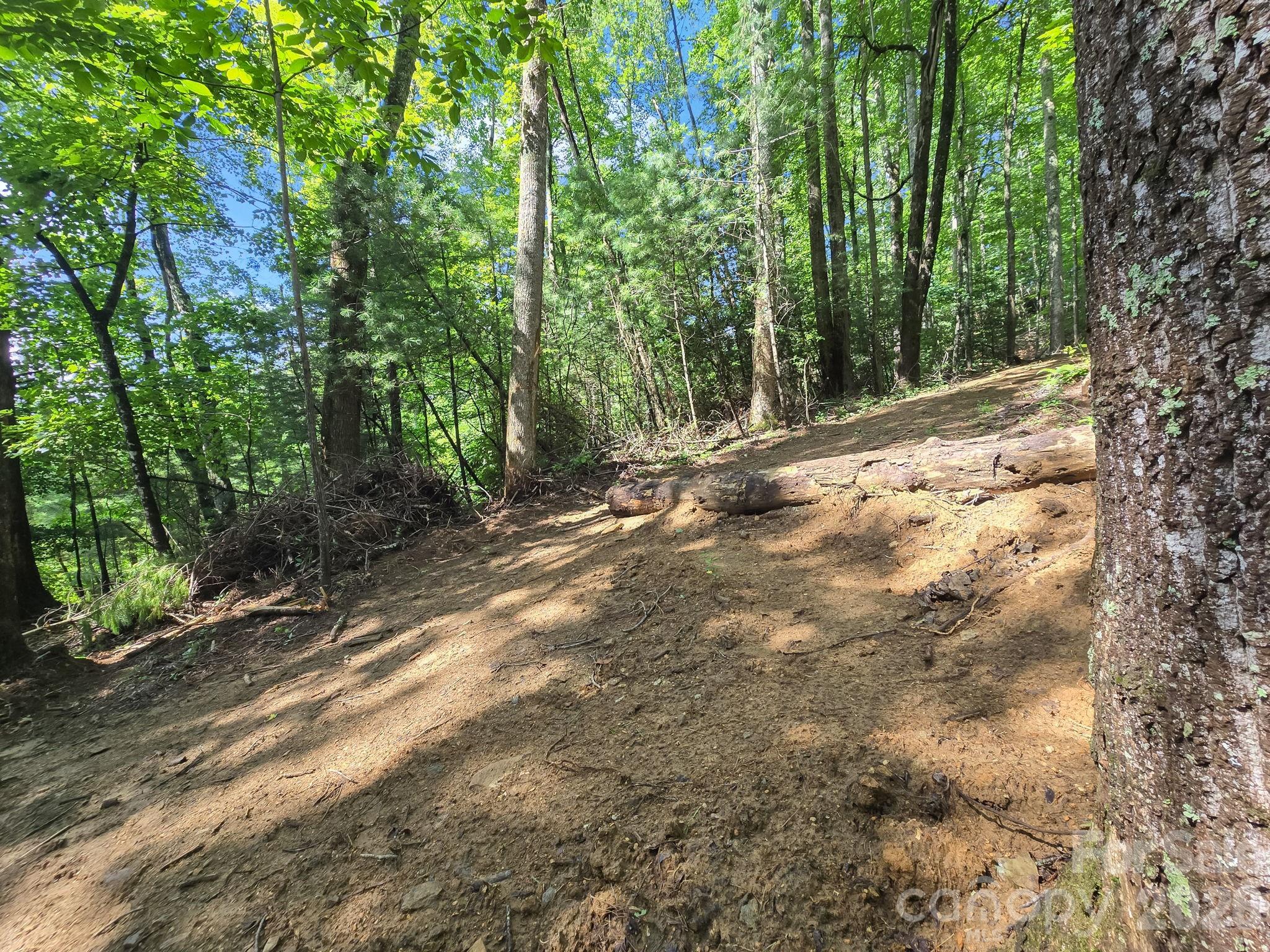 Tbd Davenport Hills Road Hendersonville NC 28739