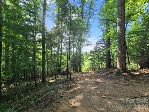 Tbd Davenport Hills Road Hendersonville NC 28739