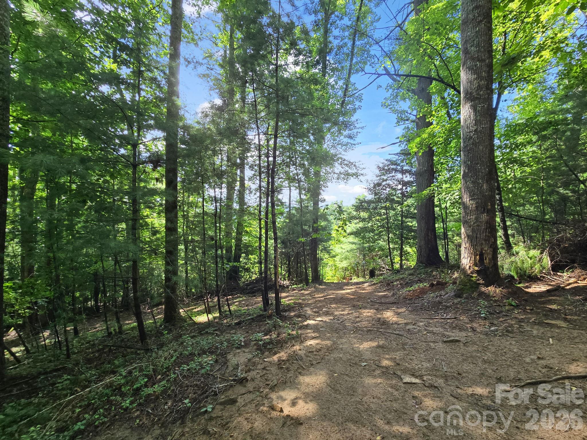 Tbd Davenport Hills Road Hendersonville NC 28739