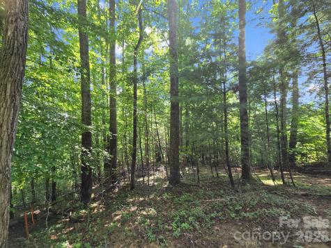 Tbd Davenport Hills Road Hendersonville NC 28739