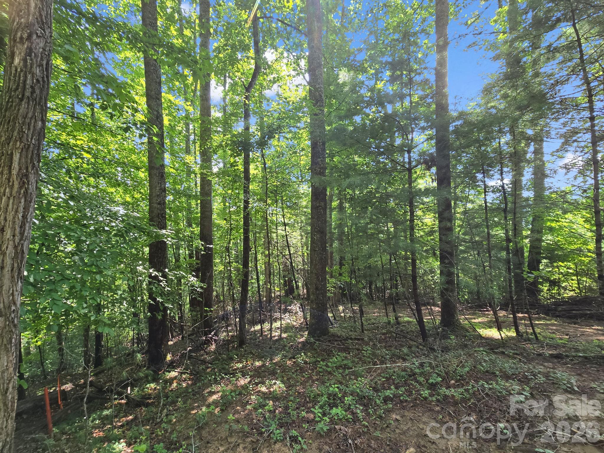 Tbd Davenport Hills Road Hendersonville NC 28739