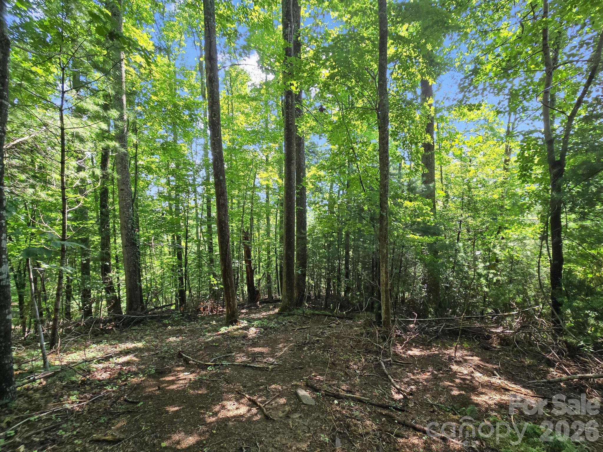 Tbd Davenport Hills Road Hendersonville NC 28739