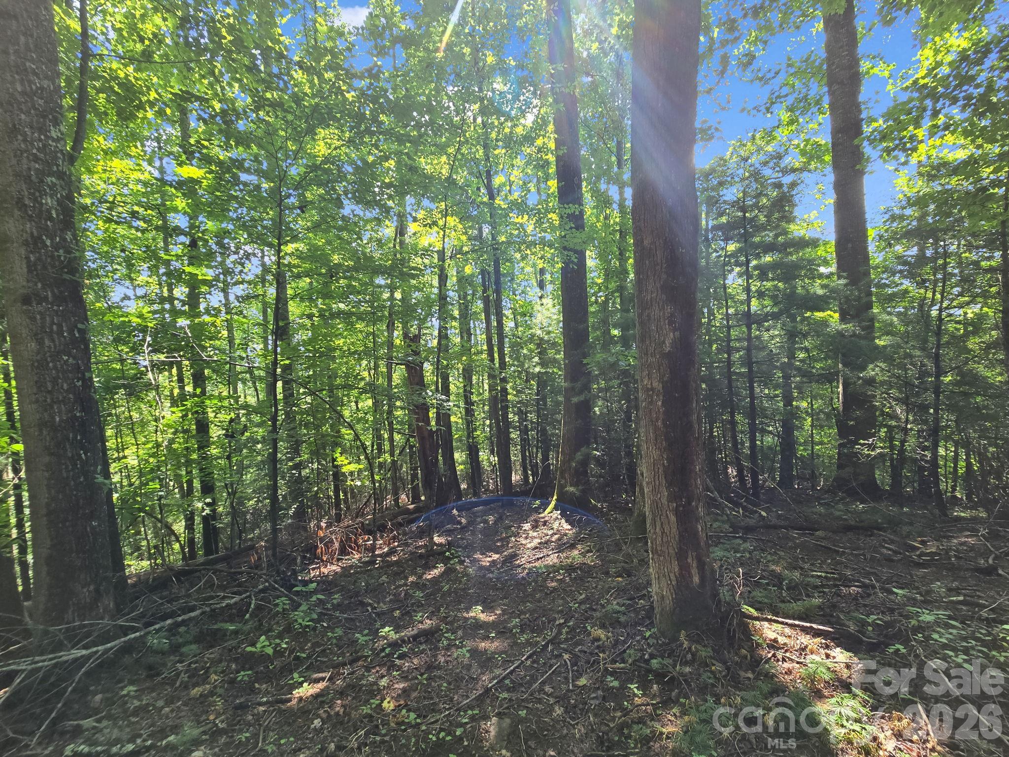 Tbd Davenport Hills Road Hendersonville NC 28739