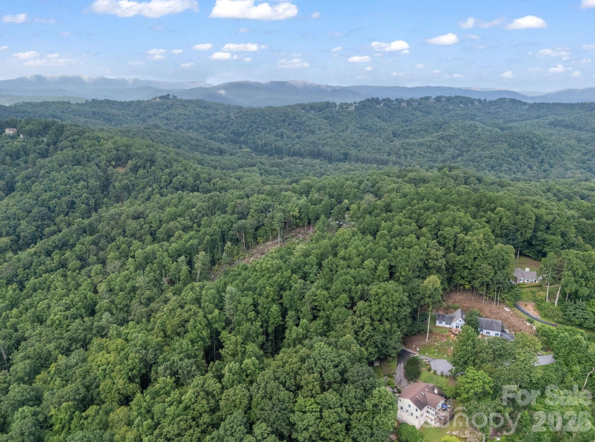 Tbd Davenport Hills Road Hendersonville NC 28739