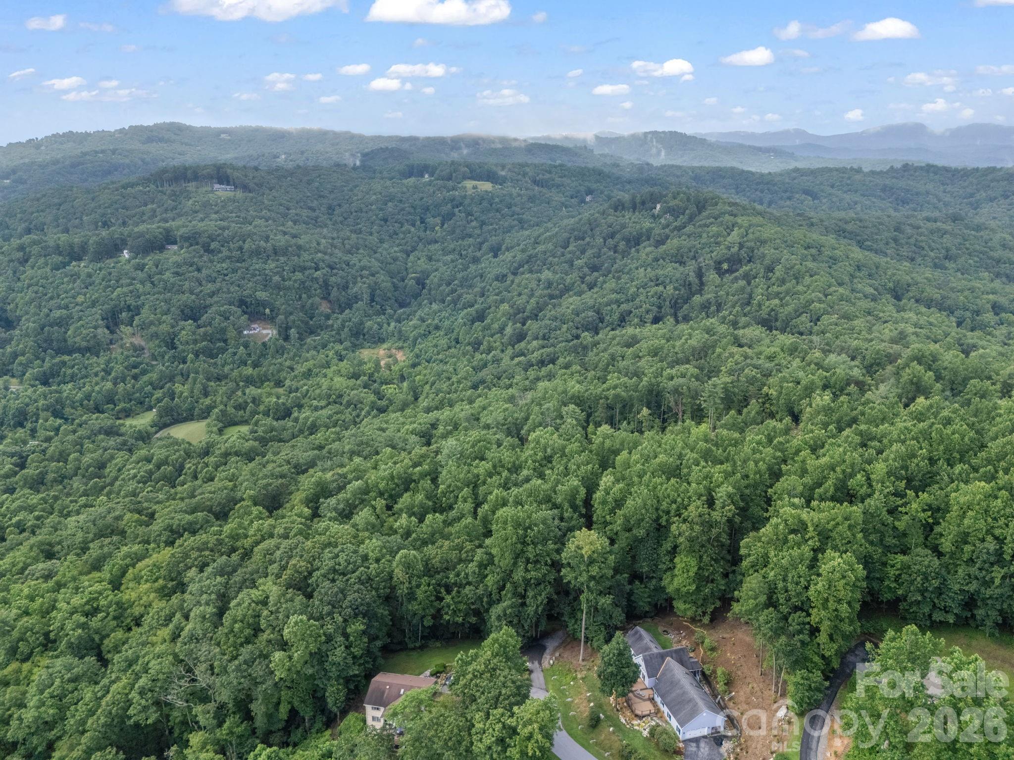 Tbd Davenport Hills Road Hendersonville NC 28739