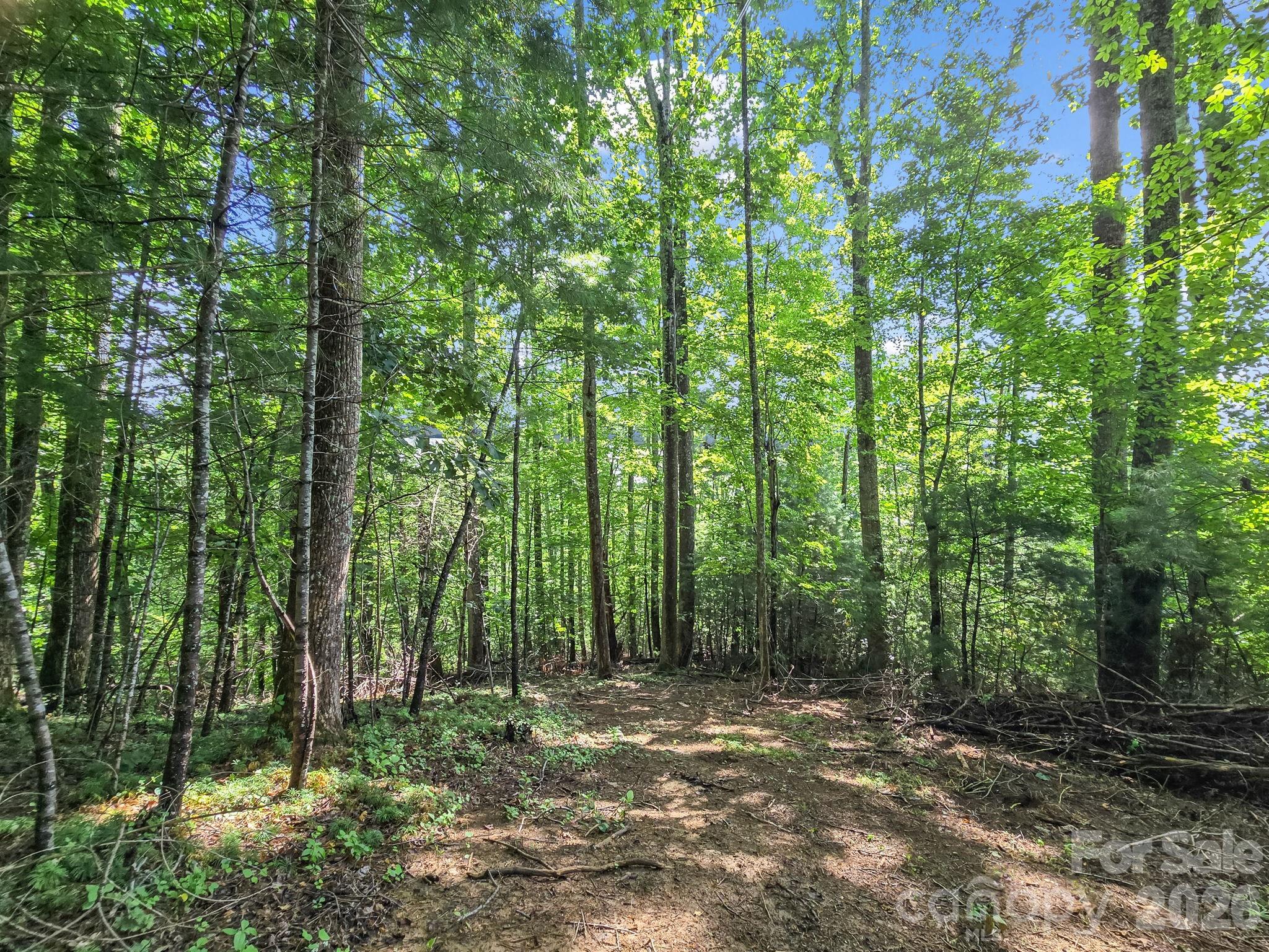 Tbd Davenport Hills Road Hendersonville NC 28739