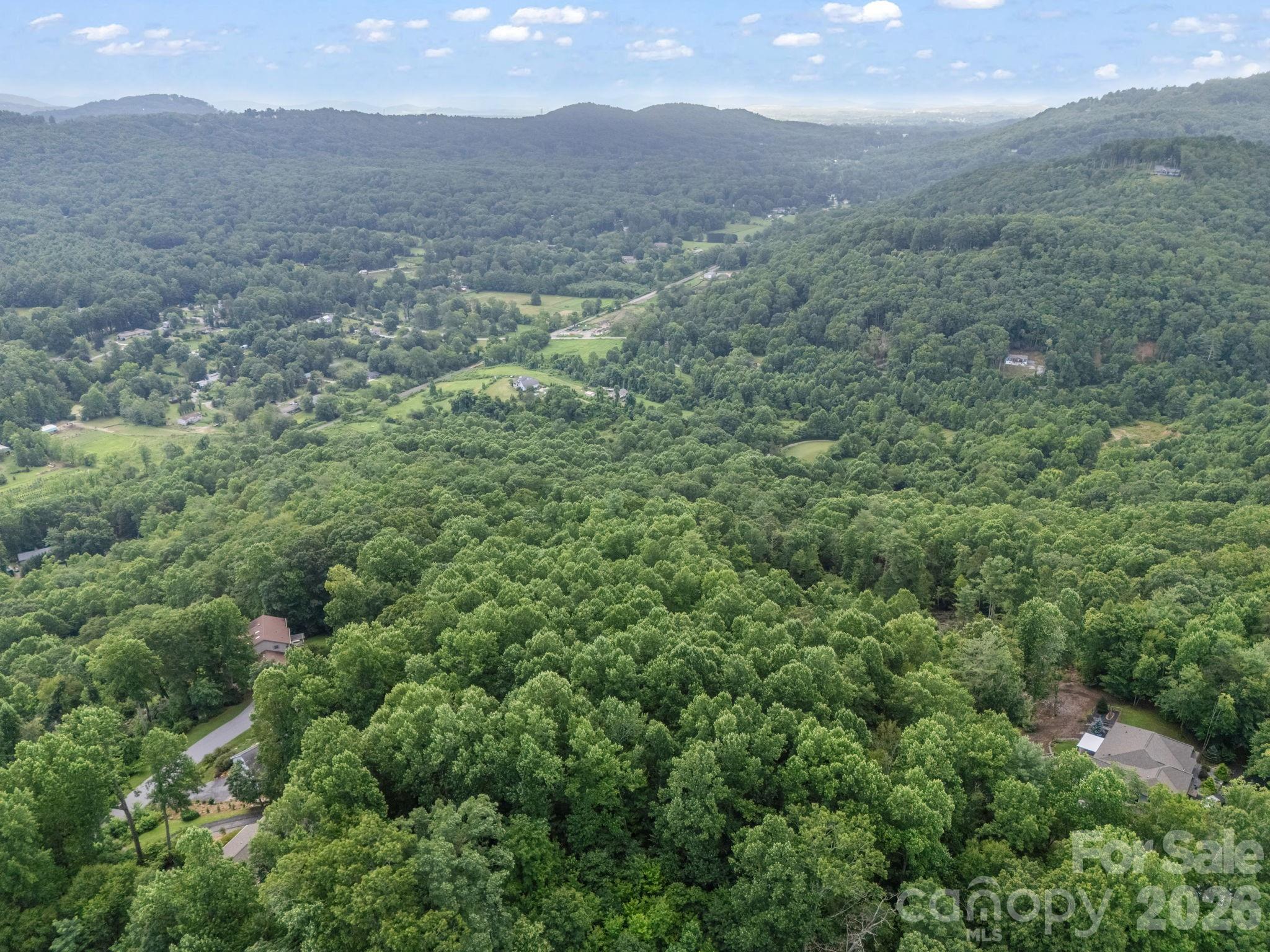 Tbd Davenport Hills Road Hendersonville NC 28739