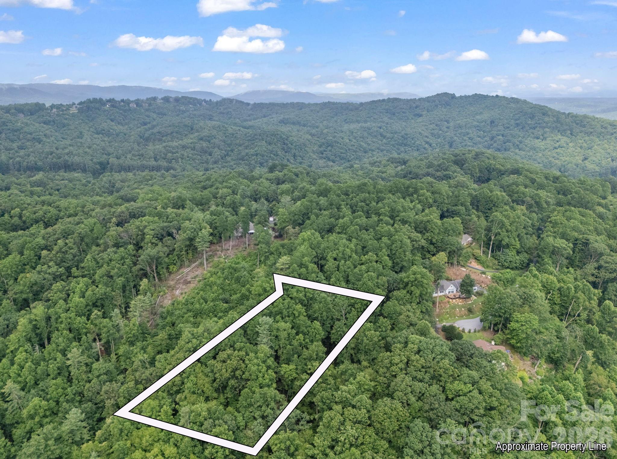 Tbd Davenport Hills Road Hendersonville NC 28739
