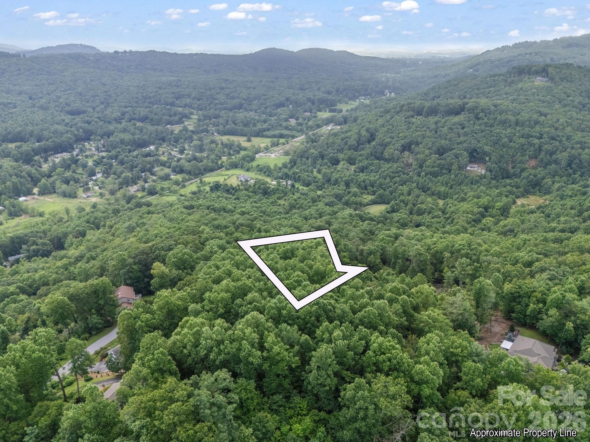 Tbd Davenport Hills Road Hendersonville NC 28739