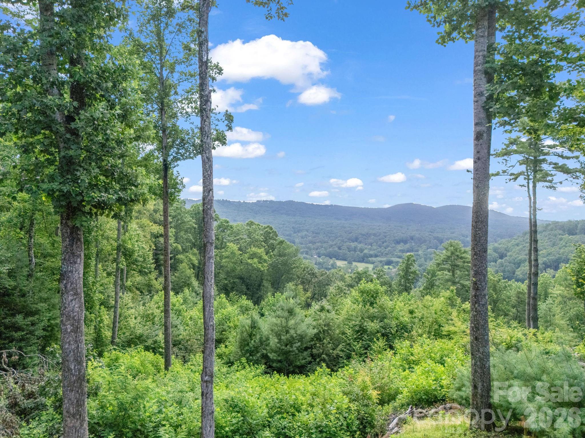 Tbd Davenport Hills Road Hendersonville NC 28739