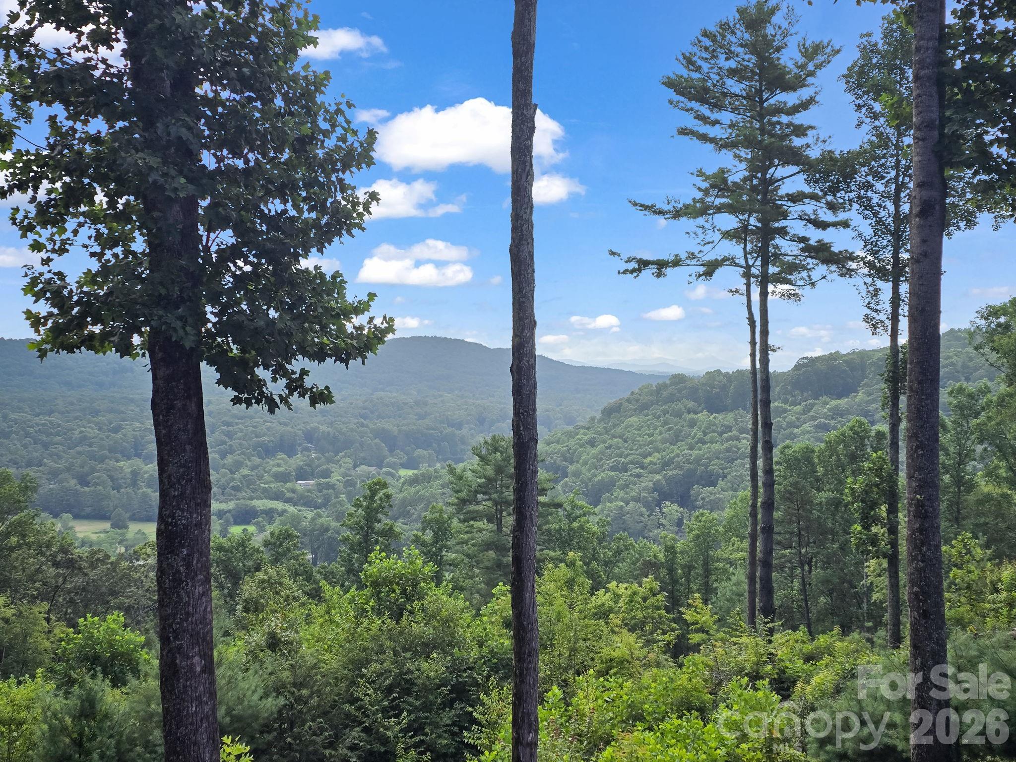 Tbd Davenport Hills Road Hendersonville NC 28739