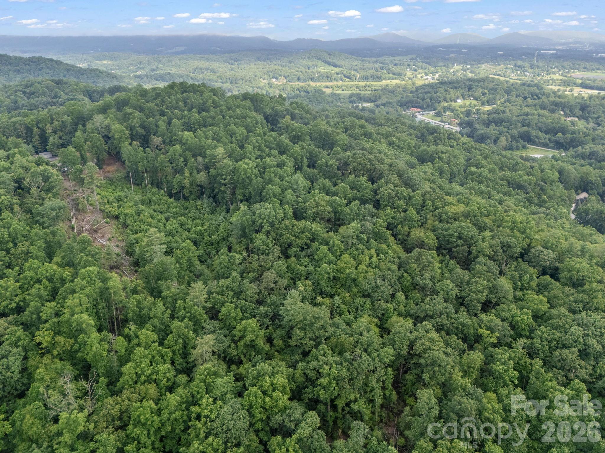 Tbd Davenport Hills Road Hendersonville NC 28739