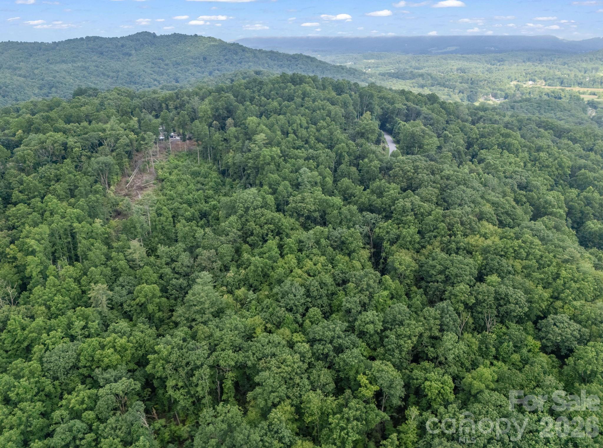 Tbd Davenport Hills Road Hendersonville NC 28739