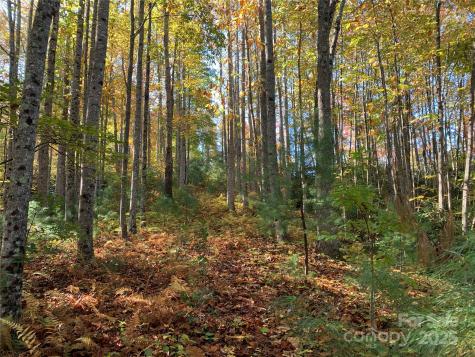 Lot# 556 Timber Rock Drive Lenoir NC 28645