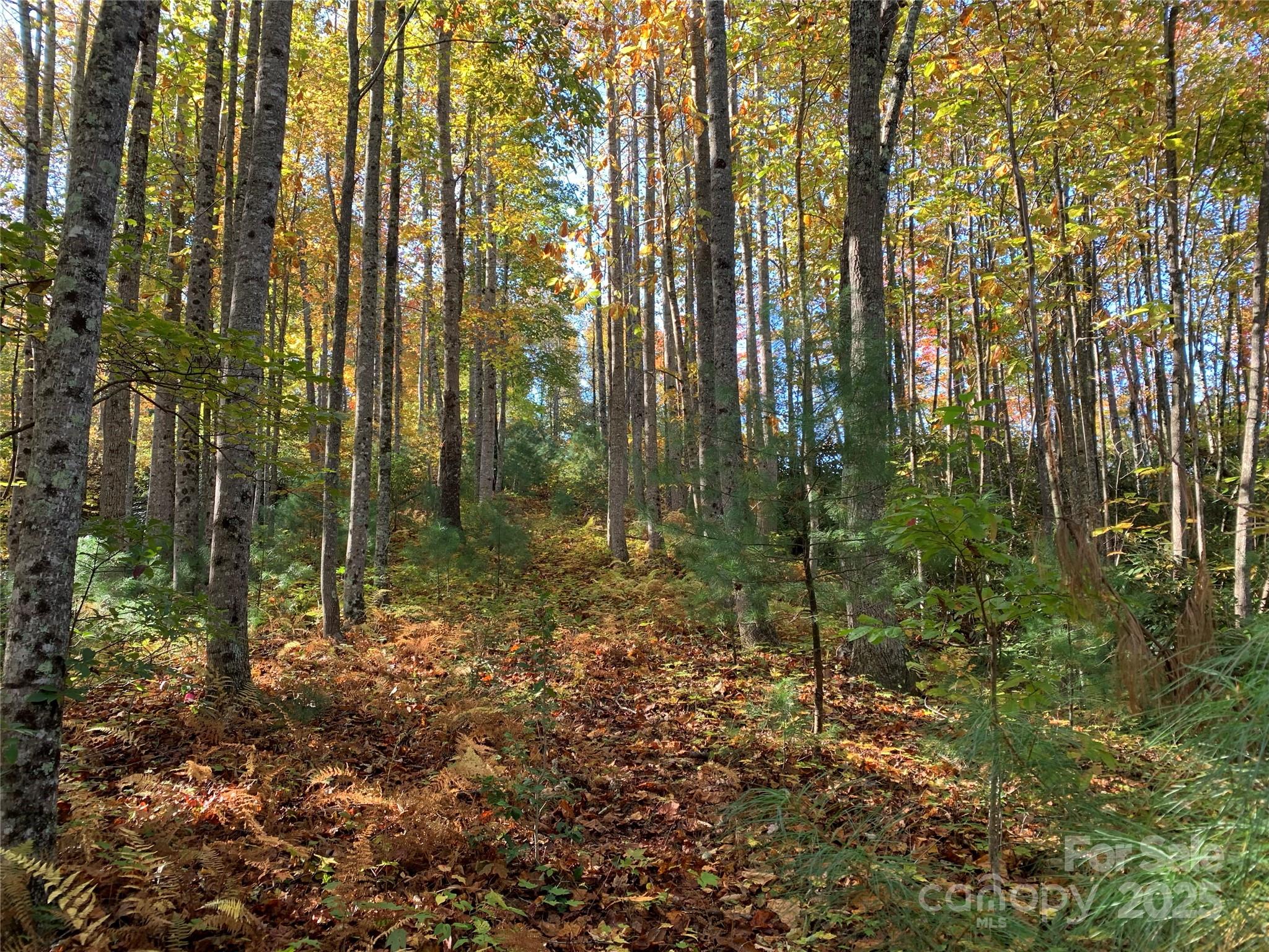 Lot# 556 Timber Rock Drive Lenoir NC 28645