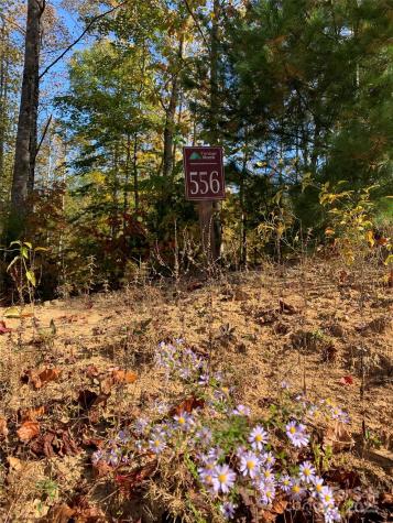 Lot# 556 Timber Rock Drive Lenoir NC 28645