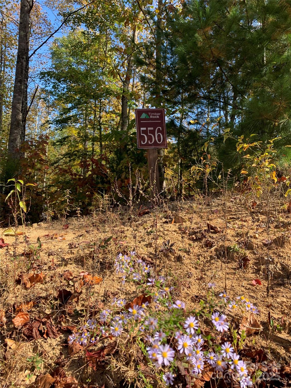 Lot# 556 Timber Rock Drive Lenoir NC 28645