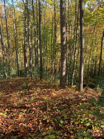 Lot# 556 Timber Rock Drive Lenoir NC 28645