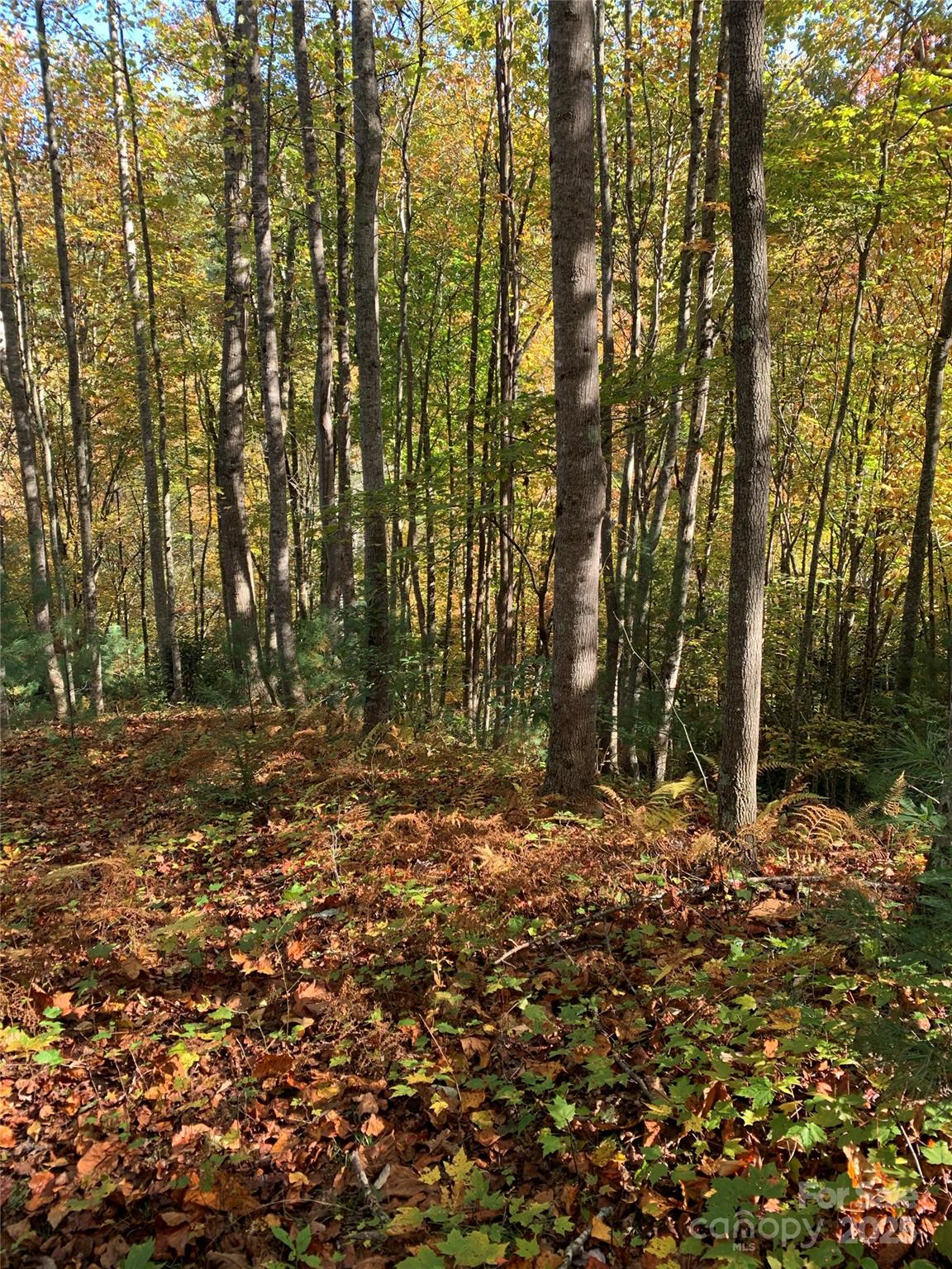 Lot# 556 Timber Rock Drive Lenoir NC 28645