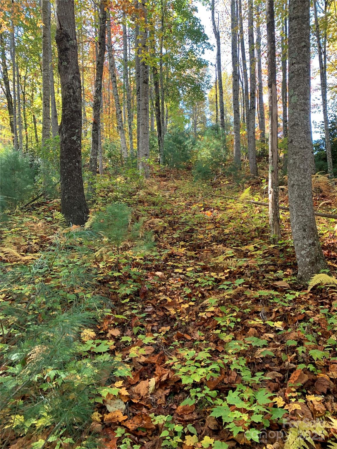 Lot# 556 Timber Rock Drive Lenoir NC 28645