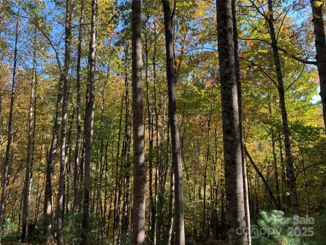 Lot# 556 Timber Rock Drive Lenoir NC 28645