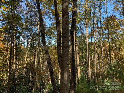 Lot# 556 Timber Rock Drive Lenoir NC 28645