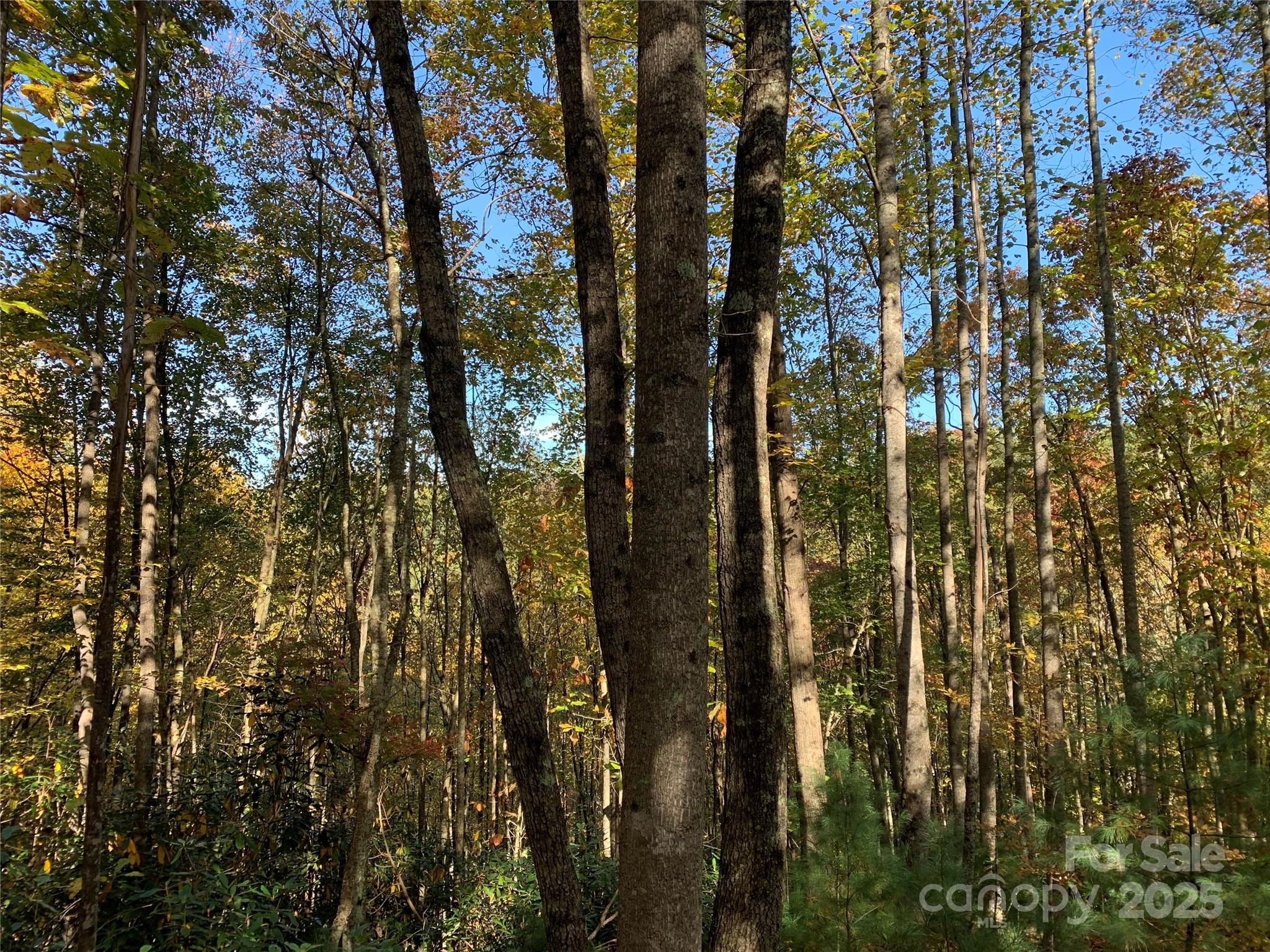 Lot# 556 Timber Rock Drive Lenoir NC 28645