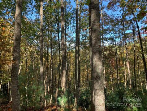 Lot# 556 Timber Rock Drive Lenoir NC 28645