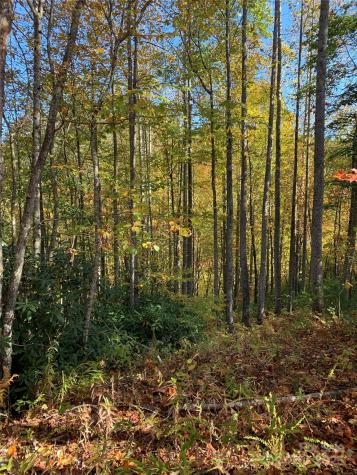 Lot# 556 Timber Rock Drive Lenoir NC 28645