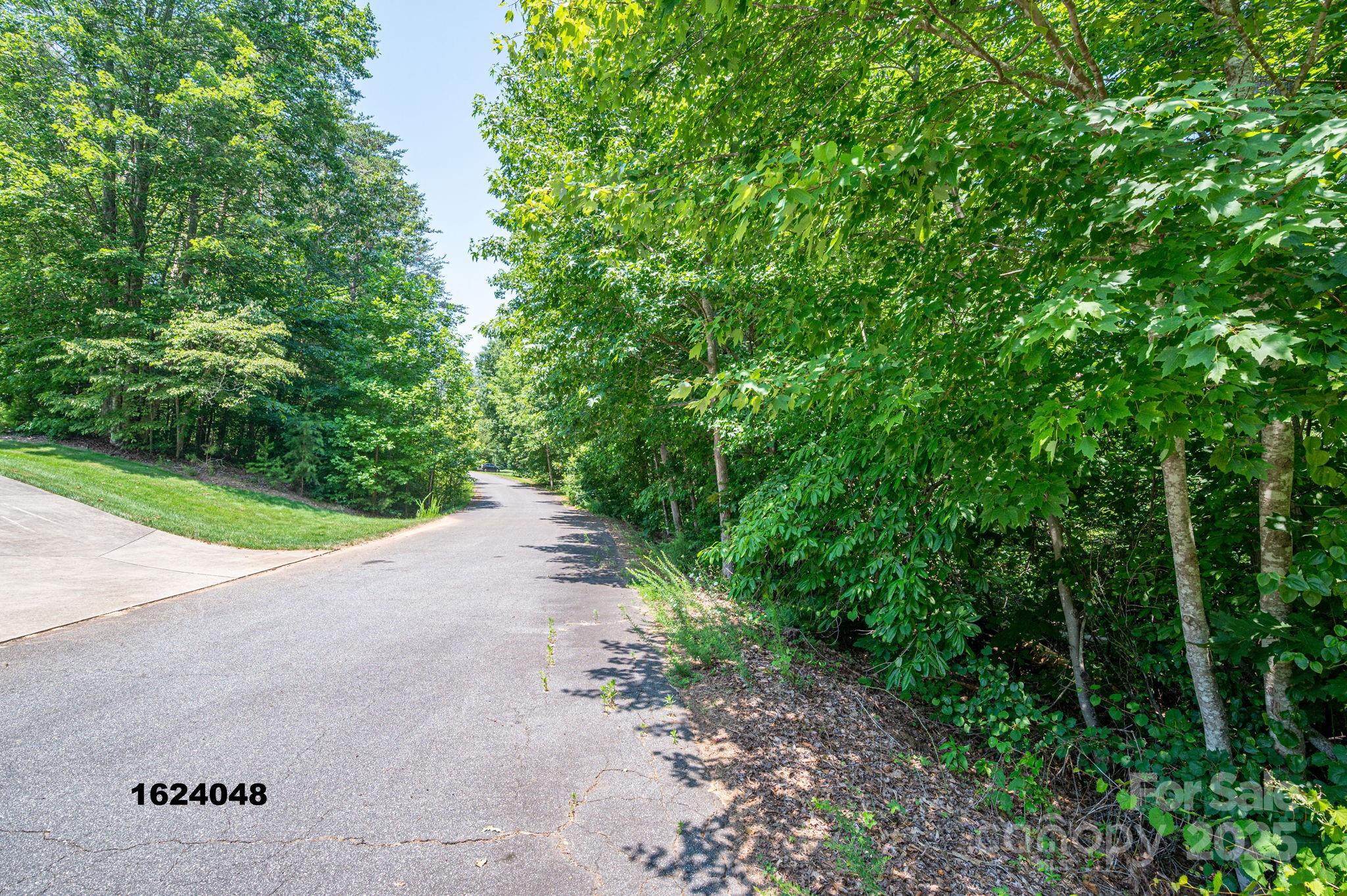 Lot Washburn Lane Rutherfordton NC 28139