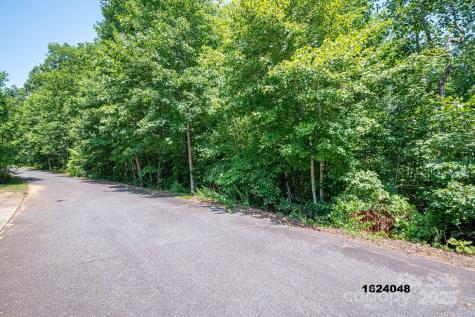 Lot Washburn Lane Rutherfordton NC 28139