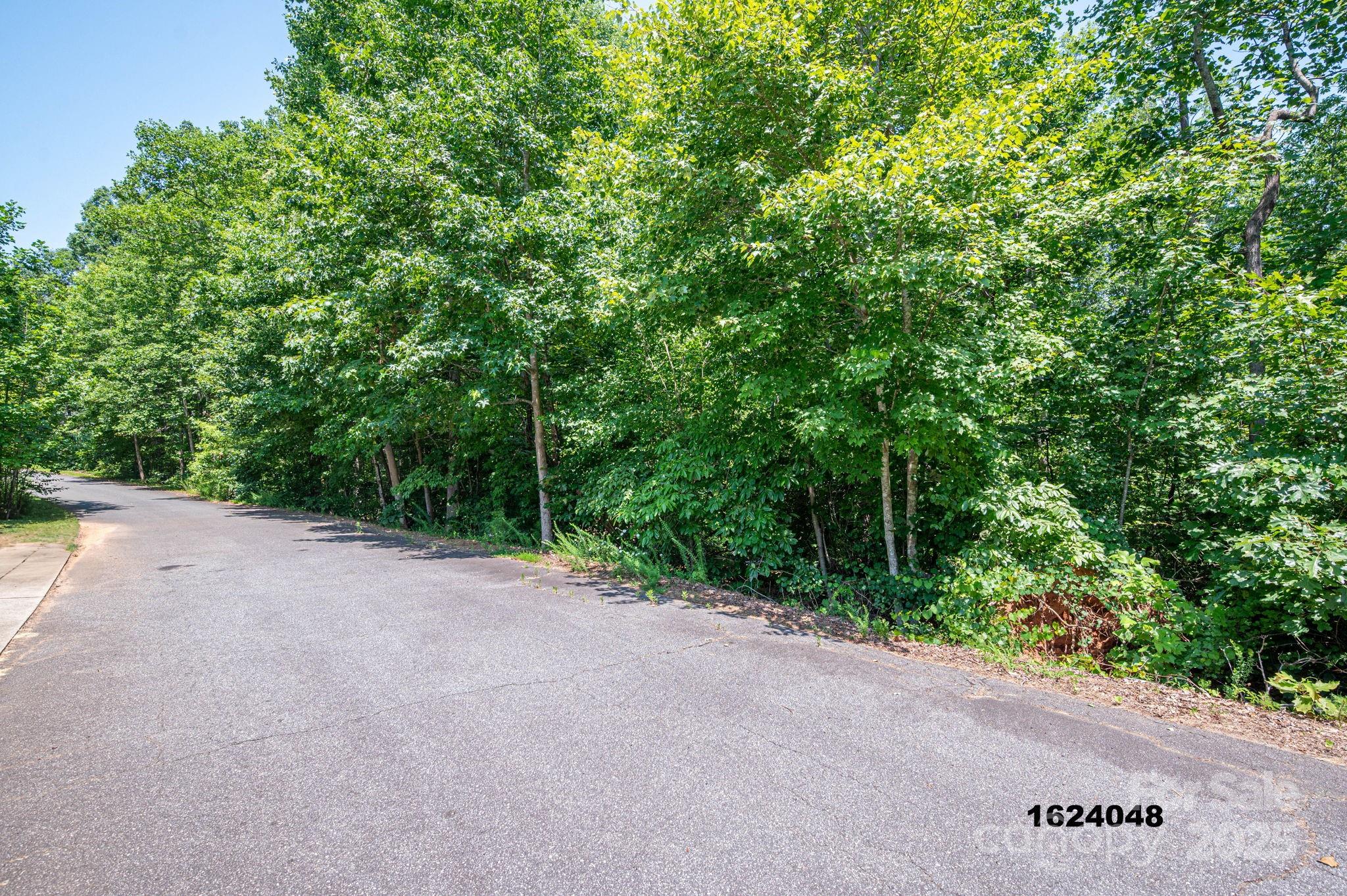 Lot Washburn Lane Rutherfordton NC 28139